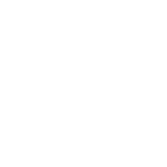 automobile